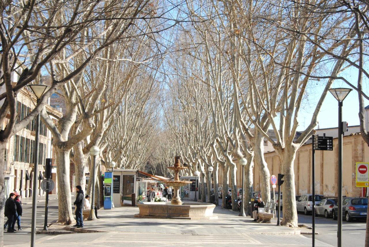 פלמה דה מיורקה Cream Homes La Rambla, Turismo De Interior מראה חיצוני תמונה
